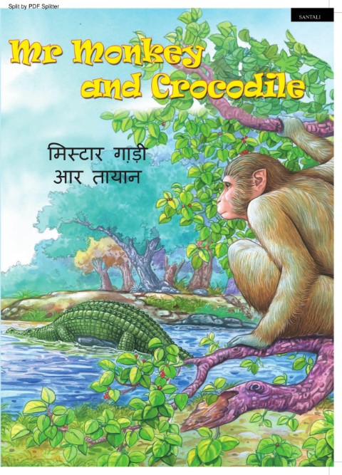 Mr. Monkey and Crocodile